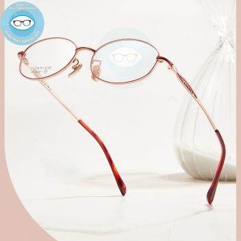 Gọng kính kim loại mã 6191